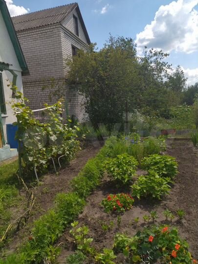 Дача 37 м² на участке 5,5 сот.