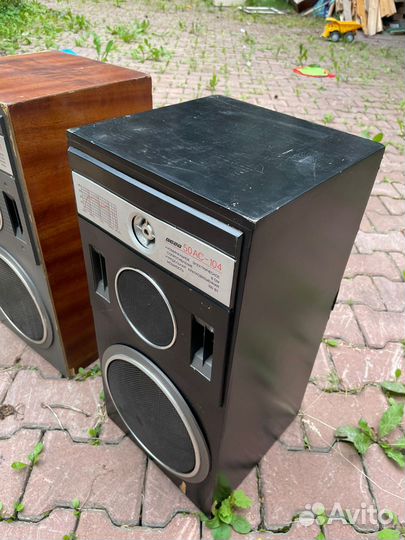 Акустические колонки Вега С-50