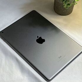 iPad 10.2 9-го поколения 256 Gb (Space Gray)