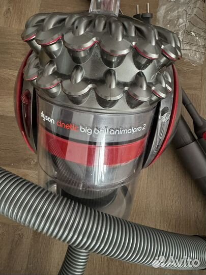 Dyson cinetic big ball animalpro 2