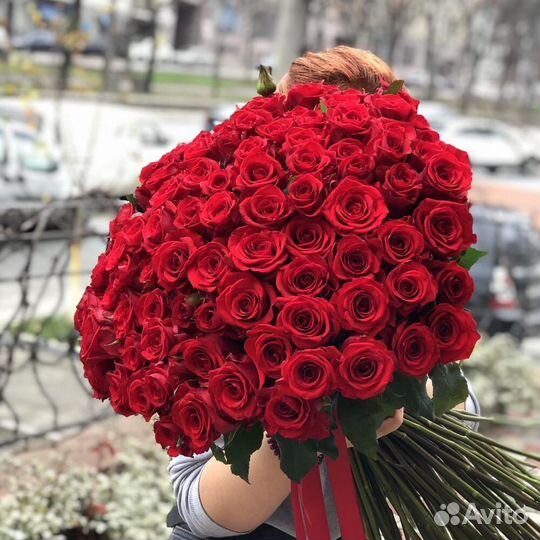101 роза цветы букеты доставка 25 51 75