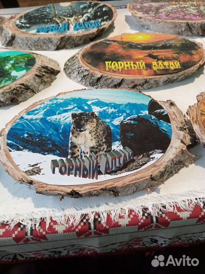 Фото на спилах береза