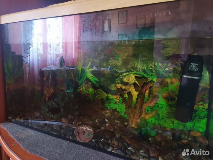 Аквариум б/у в хорошем состоянии