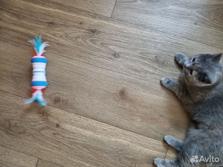 Игрушка для кота