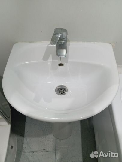 Раковина тюльпан