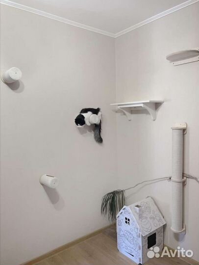 Когтеточка настенная, полка, комплекс