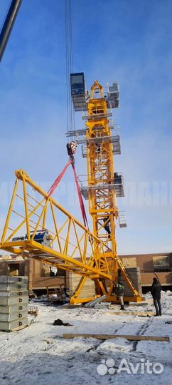 Башенные краны qtz 80