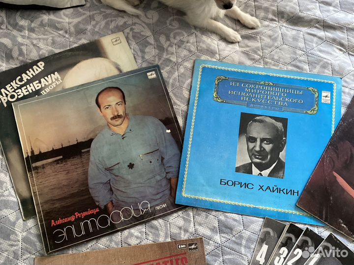 Виниловые пластинки beatles, Высоцкий, Розенбаум