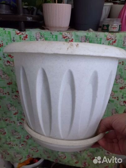 Горшки и распылитель для цветов