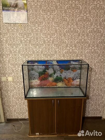 Аквариум на 150 литров вместе с тумбой