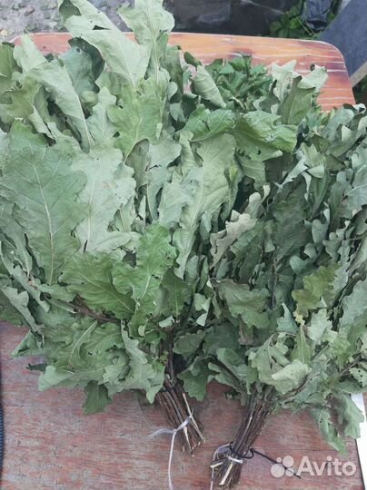 Веники для бани