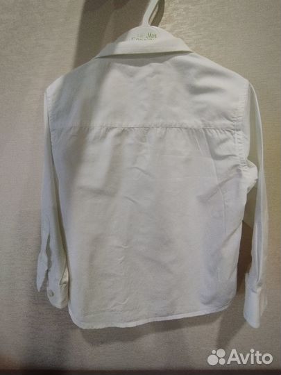 Рубашка и галстук бесплатно