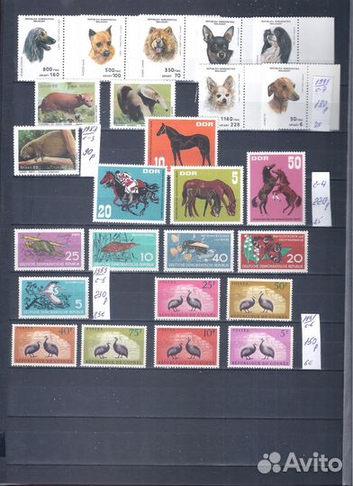 Марки.Фауна 7