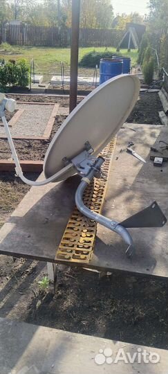 Тарелка триколор