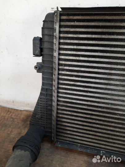 Интеркулер Volkswagen Passat универсал 1.9 BXE