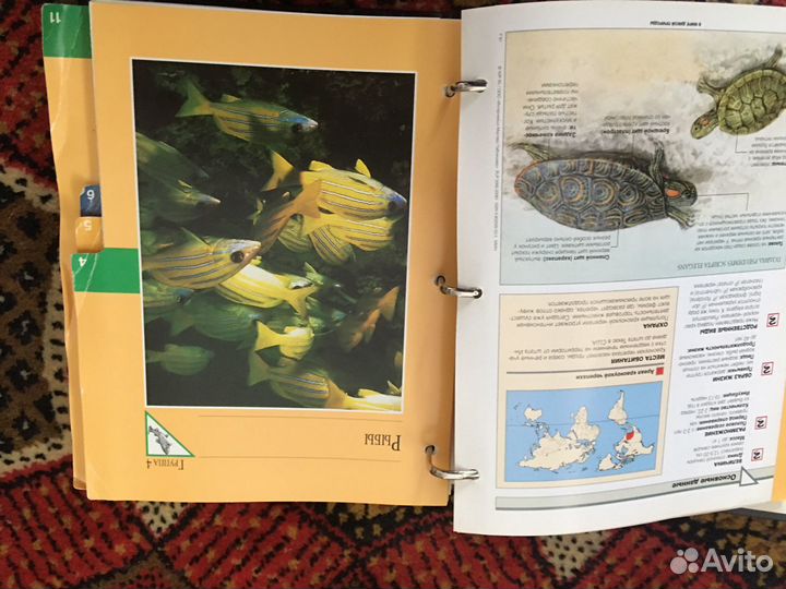 Энциклопедия