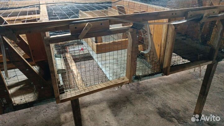 Клетки для кроликов