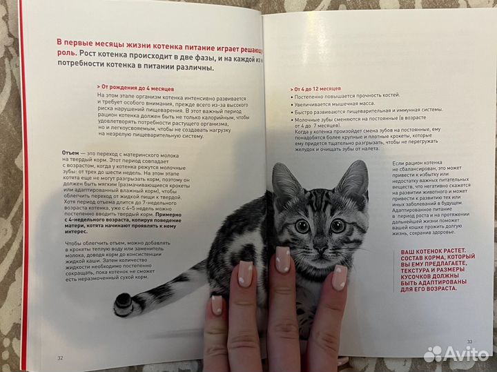 Книга о кошках и котятах