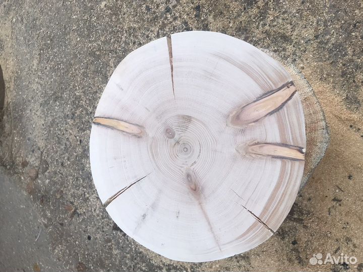 Спилы деревьев