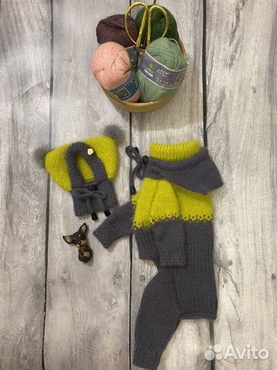 Одежда для собак