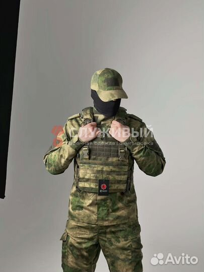 Плитник Сухопут