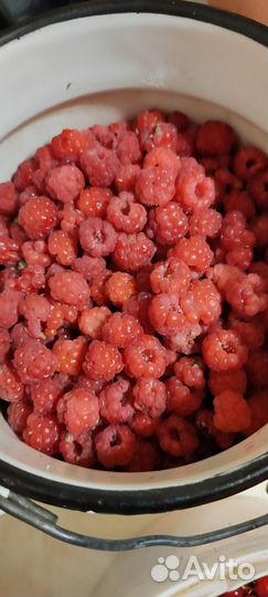 Смородина, малина