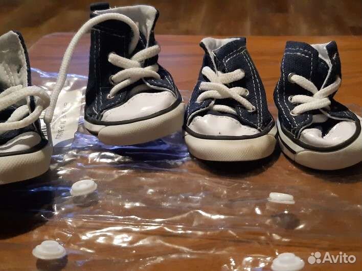 Зоомагазин