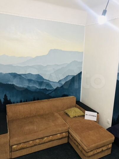 1-к. квартира, 42 м², 1/2 эт.