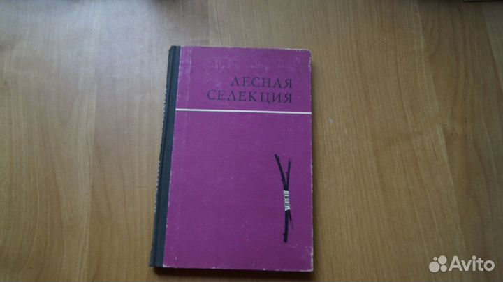 Лесная селекция 1972 год