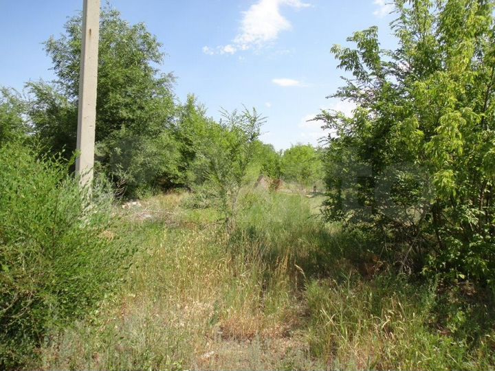 Участок 49,5 сот. (промназначения)