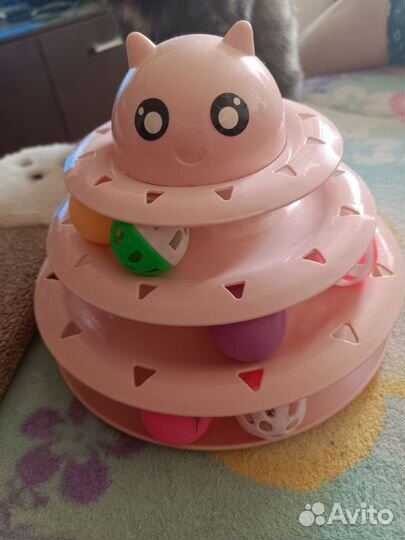 Одежда для собаки, когтеточка, игрушка