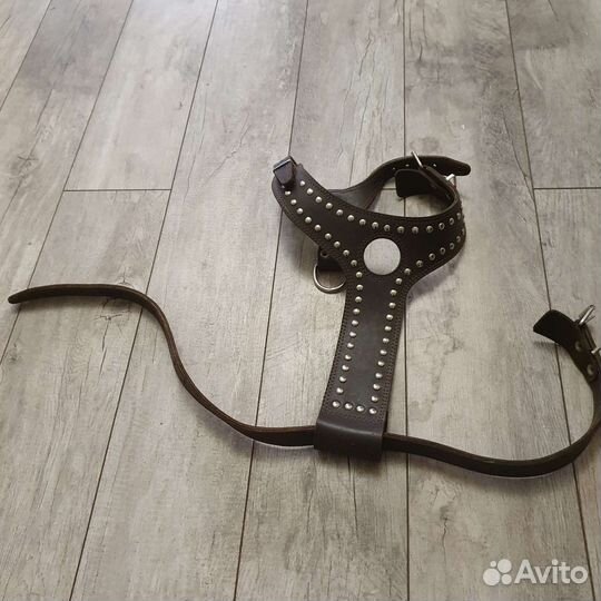 Шлейка натур кожа И строгий ошейник