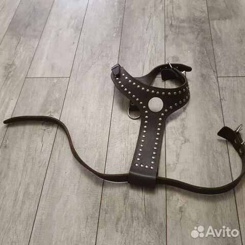 Шлейка натур кожа И строгий ошейник