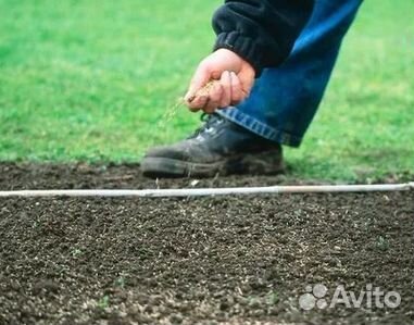 Газон от производителя