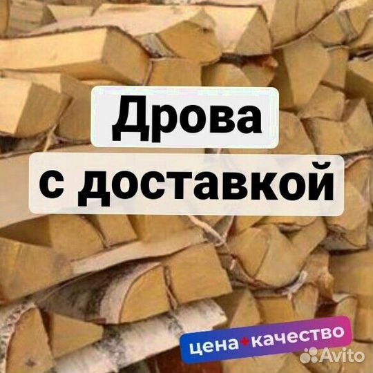 Дрова берёза