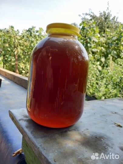 Липовый мед доставка бесплатно