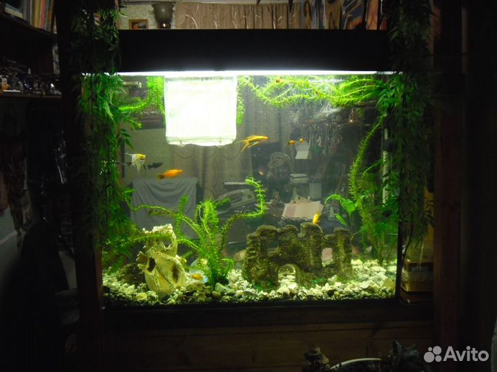 Аквариум
