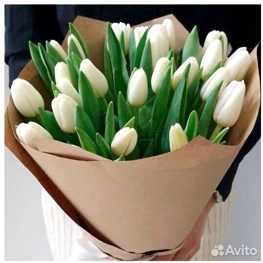 Свежий букет из 25 белых тюльпанов