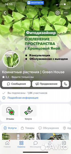 Лимонное дерево