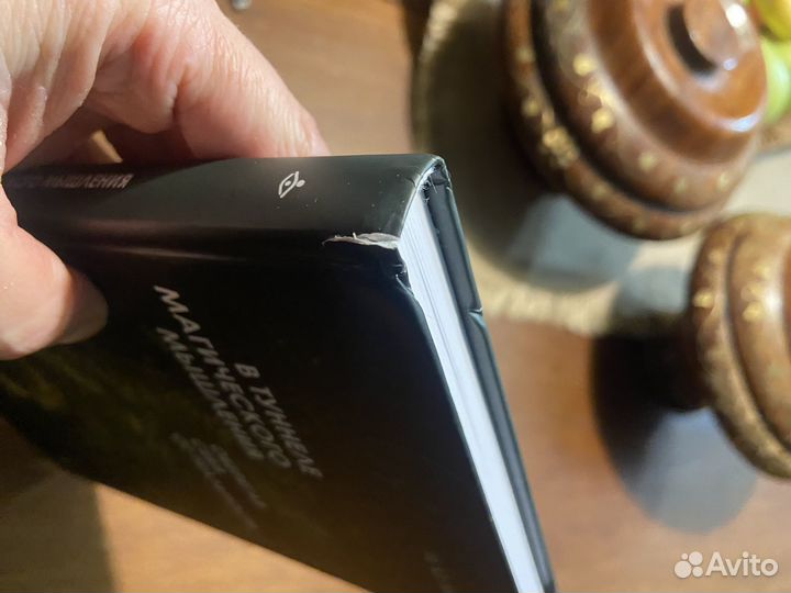 В туннеле магического мышления, Ирина Млодик