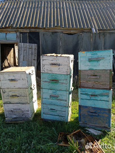 Улей для пчел бу