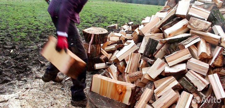 Дрова в Белоострове
