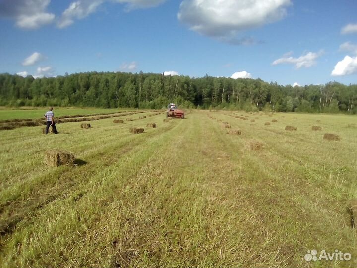 Сено в кипах