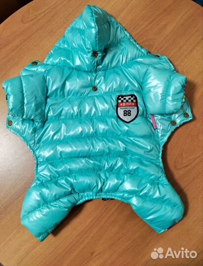 Одежда для собак мелких пород