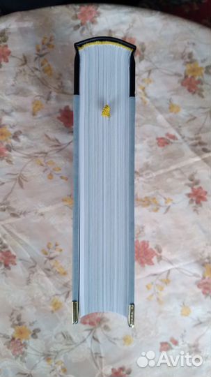 Вита нова Иван шмелев История любовная