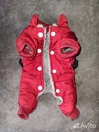 Комбинезон для маленькой собаки