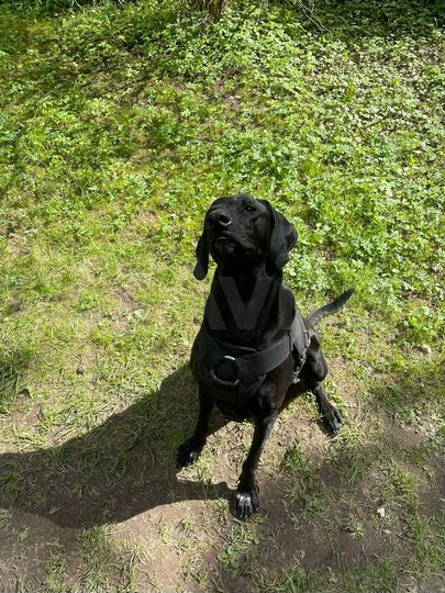 Дом 40 м² на участке 6 сот.