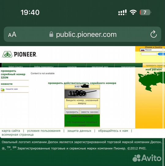 Семена подсолнечника Пионер П64ле99