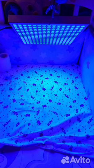 Лампа для лечения желтушки новорождённых (аренда)