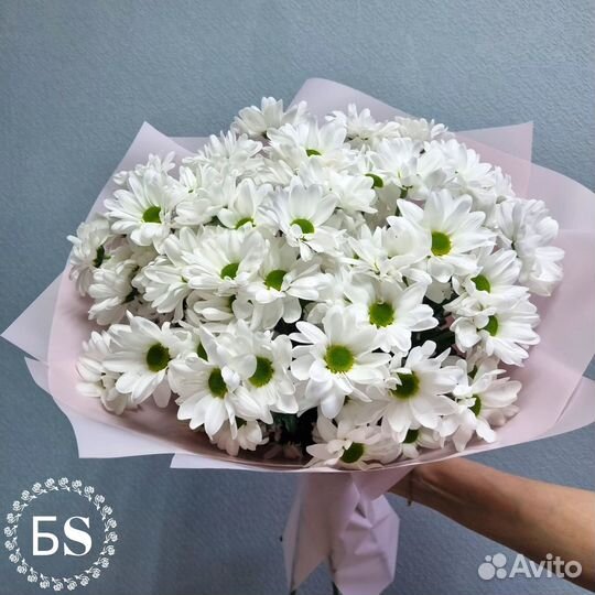 7 кустовых хризантем в упаковке. Доставка 46-10-00